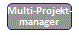 Multiprojektmanager