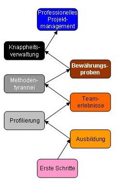 Grade der Professionalisierung im Projektmanagement